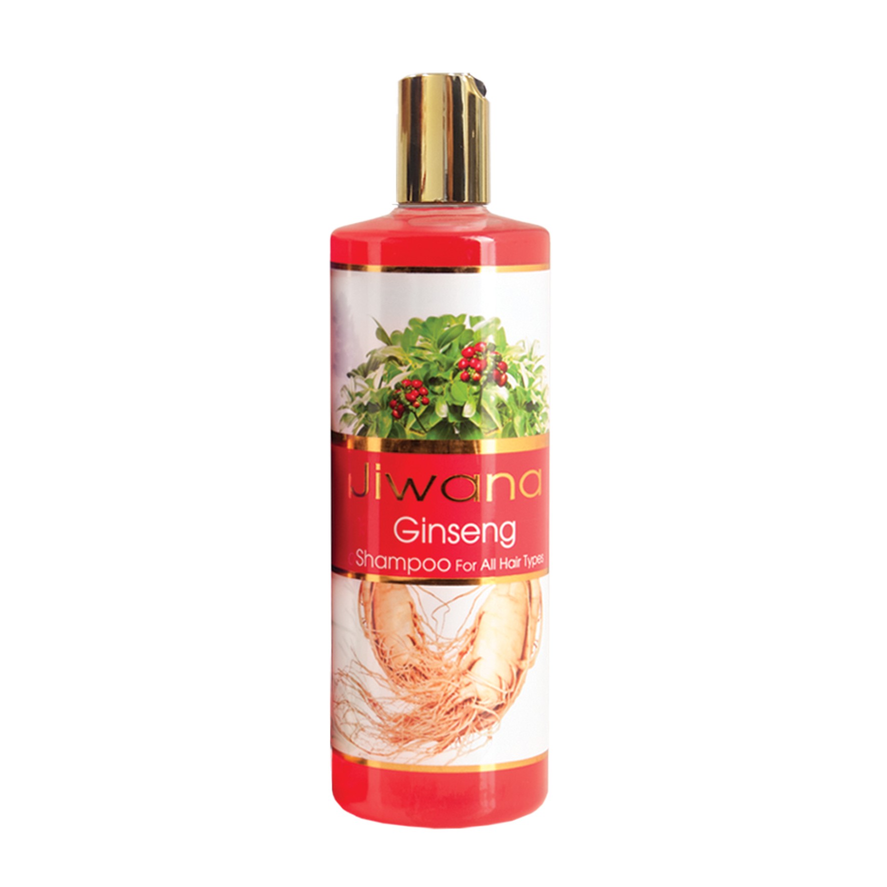 شامپو ژیوانا مدل Ginseng حجم 500 میلی لیتر