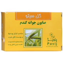 صابون جوانه گندم گل سیتو