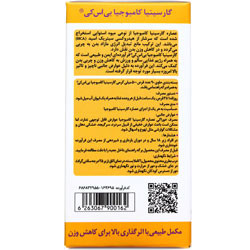 قرص گارسینیا کامبوجیا 90 عددی بنیان سلامت کسری