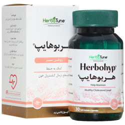 هربوهایپ هرباتون